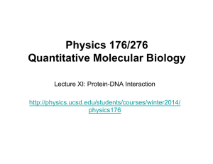Physics 176/276 Quantitative Molecular Biology Lecture XI: Protein-DNA Interaction