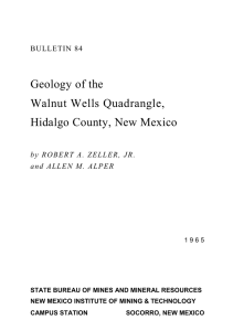 Geology of the Walnut Wells Quadrangle, Hidalgo County, New Mexico BULLETIN 84