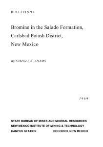Bromine in the Salado Formation, Carlsbad Potash District, New Mexico