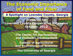 The Economic Importance of Food and Fiber Prepared for Lowndes County Cooperative Extension