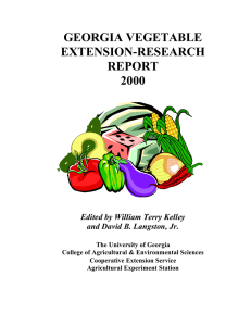 GEORGIA VEGETABLE EXTENSION-RESEARCH REPORT 2000