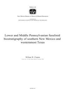 Lower and Middle Pennsylvanian fusulinid biostratigraphy of southern New Mexico and