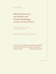 Mineral Resources of Fort Defiance and Tohatchi Quadrangles, Arizona and New Mexico