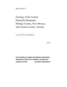 Geology of the Central Peloncillo Mountains, Hidalgo County, New Mexico,