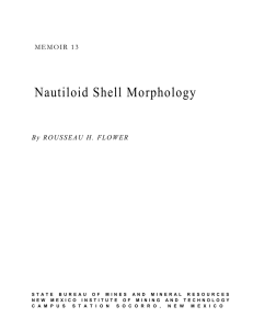 Nautiloid Shell Morphology M E M O I R 1 3