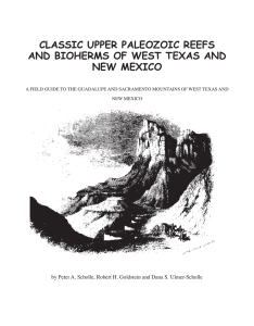 CLASSIC UPPER PALEOZOIC REEFS AND BIOHERMS OF WEST TEXAS AND NEW MEXICO
