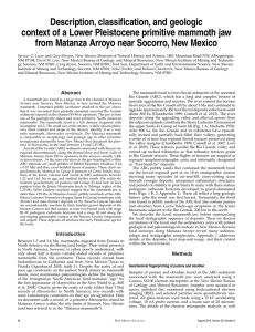 Description, classification, and geologic from Matanza Arroyo near Socorro, New Mexico