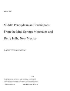 Middle Pennsylvanian Brachiopods From the Mud Springs Mountains and MEMOIR 3