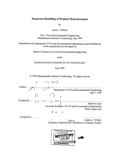 Numerical  Modelling  of Wetland Hydrodynamics