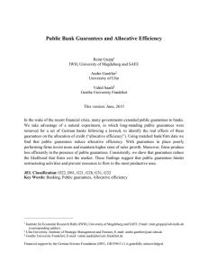 Public Bank Guarantees and Allocative Efficiency