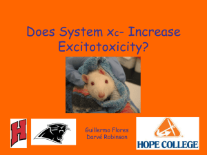 Does System x - Increase Excitotoxicity? c