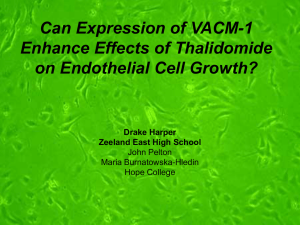 Can Expression of VACM-1 Enhance Effects of Thalidomide on Endothelial Cell Growth?