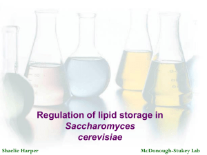 Regulation of lipid storage in Saccharomyces cerevisiae Shaelie Harper