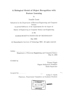 A  Biological  Model  of  Object ... Feature  Learning Jennifer  Louie