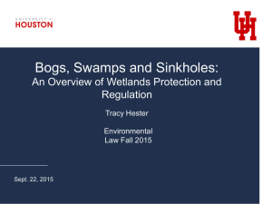 Bogs, Swamps and Sinkholes: An Overview of Wetlands Protection and Regulation Tracy Hester