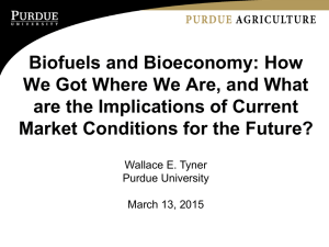 Biofuels and Bioeconomy: How We Got Where We Are, and What