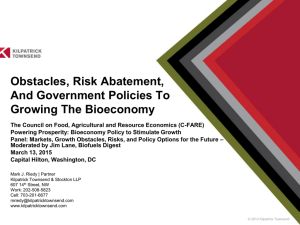 Obstacles, Risk Abatement, And Government Policies To Growing The Bioeconomy