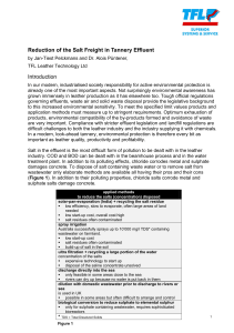 Reduction of the Salt Freight in Tannery Effluent Introduction