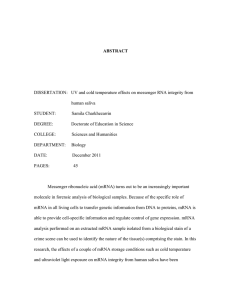 ABSTRACT DISSERTATION:   UV and cold temperature effects on messenger... human saliva