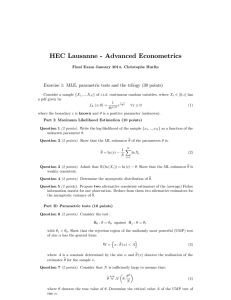 HEC Lausanne - Advanced Econometrics