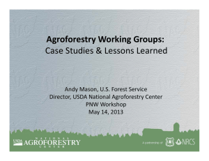 Agroforestry Working Groups: Case Studies &amp; Lessons Learned Andy Mason, U.S. Forest Service Director, USDA National Agroforestry Center