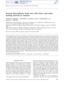 Sexual dimorphism, body size, bite force and male ANTHONY HERREL