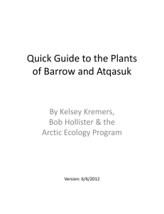 Quick Guide to the Plants  of Barrow and Atqasuk By Kelsey Kremers,  Bob Hollister &amp; the 