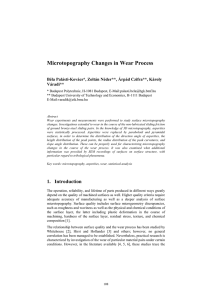 Microtopography Changes in Wear Process Váradi**