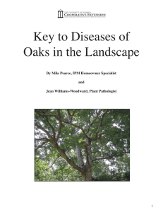 Key to Diseases of Oaks in the Landscape and