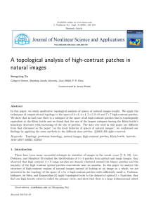 A topological analysis of high-contrast patches in natural images Shengxiang Xia