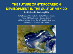 THE FUTURE OF HYDROCARBON DEVELOPMENT IN THE GULF OF MEXICO