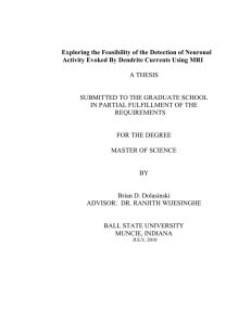 Exploring the Feasibility of the Detection of Neuronal  A THESIS