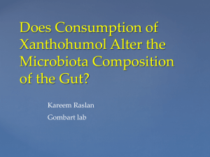 Does Consumption of Xanthohumol Alter the Microbiota Composition of the Gut?