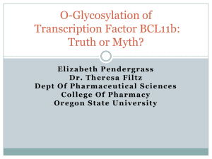 O-Glycosylation of Transcription Factor BCL11b: Truth or Myth?