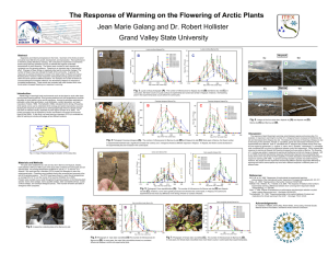 The Response of Warming on the Flowering of Arctic Plants Abstract
