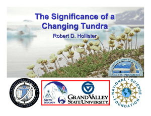 The Significance of a Changing Tundra Robert D. Hollister