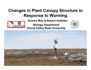 Changes in Plant Canopy Structure in Response to Warming Biology Department