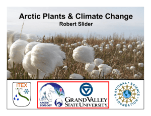 Arctic Plants &amp; Climate Change Robert Slider