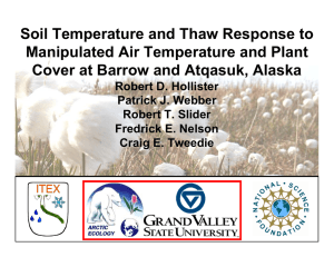 Soil Temperature and Thaw Response to Manipulated Air Temperature and Plant