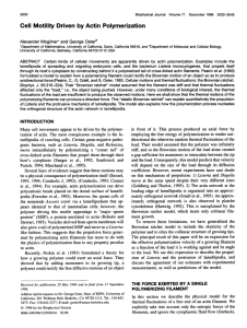 Cell Motility Driven by Actin Polymerization