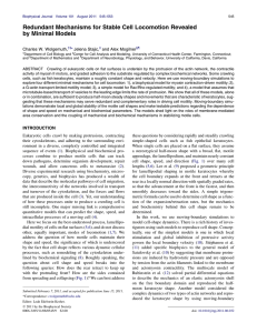 Redundant Mechanisms for Stable Cell Locomotion Revealed by Minimal Models Jelena Stajic,