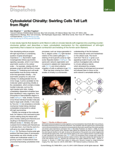 Cytoskeletal Chirality: Swirling Cells Tell Left from Right