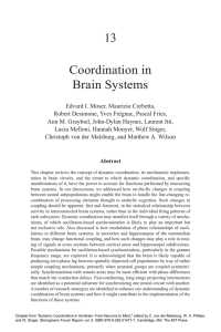 13 Coordination in Brain Systems