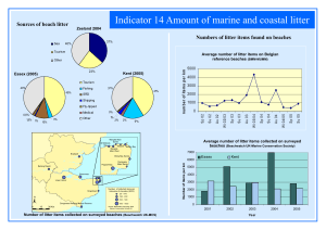 Indicator 14 Amount of marine and coastal litter