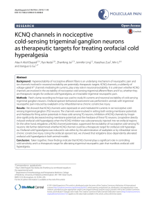 KCNQ channels in nociceptive cold‑sensing trigeminal ganglion neurons as therapeutic targets for treating orofacial cold