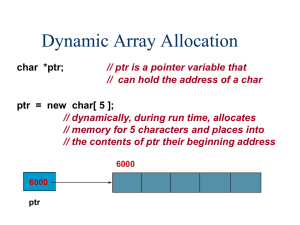Dynamic Array Allocation