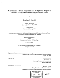 Coordination between  Presynaptic and Postsynaptic  Properties
