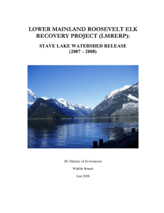 LOWER MAINLAND ROOSEVELT ELK RECOVERY PROJECT (LMRERP): STAVE LAKE WATERSHED RELEASE