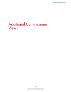 Additional Commissioner Views V - 1 Additional Commissioner Views