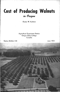 Cost of Producing Walnuts Agricultural Experiment Station Oregon State College Station Bulletin 518